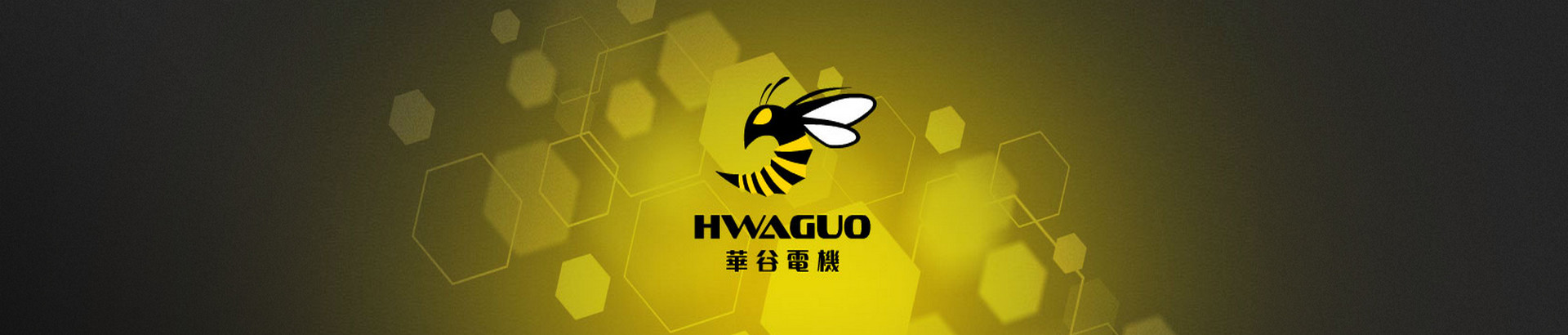 Hwaguo Electrical Machinery: Your Trusted Supplier of Precision Engineering and Industrial Solutions