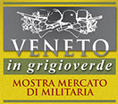 Veneto in Grigioverde